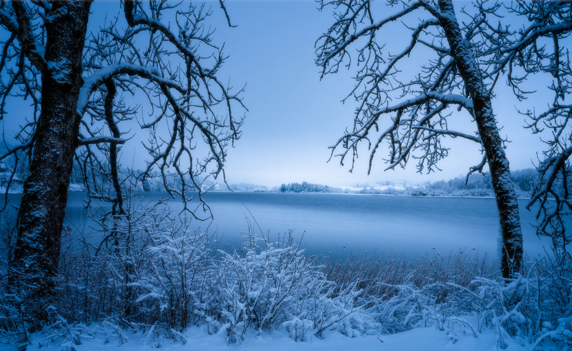 Douceur hivernale sur le lac de l’Abbaye, Jura.