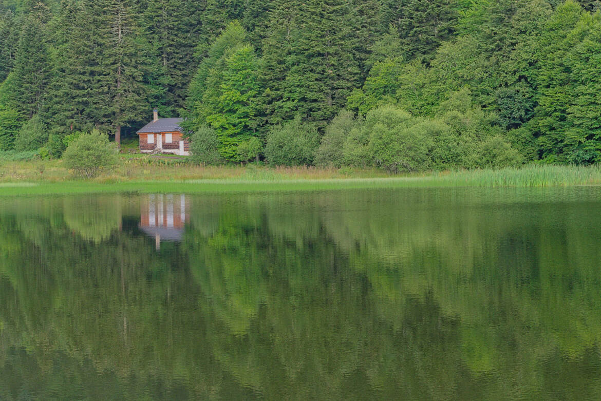 Calme et beauté