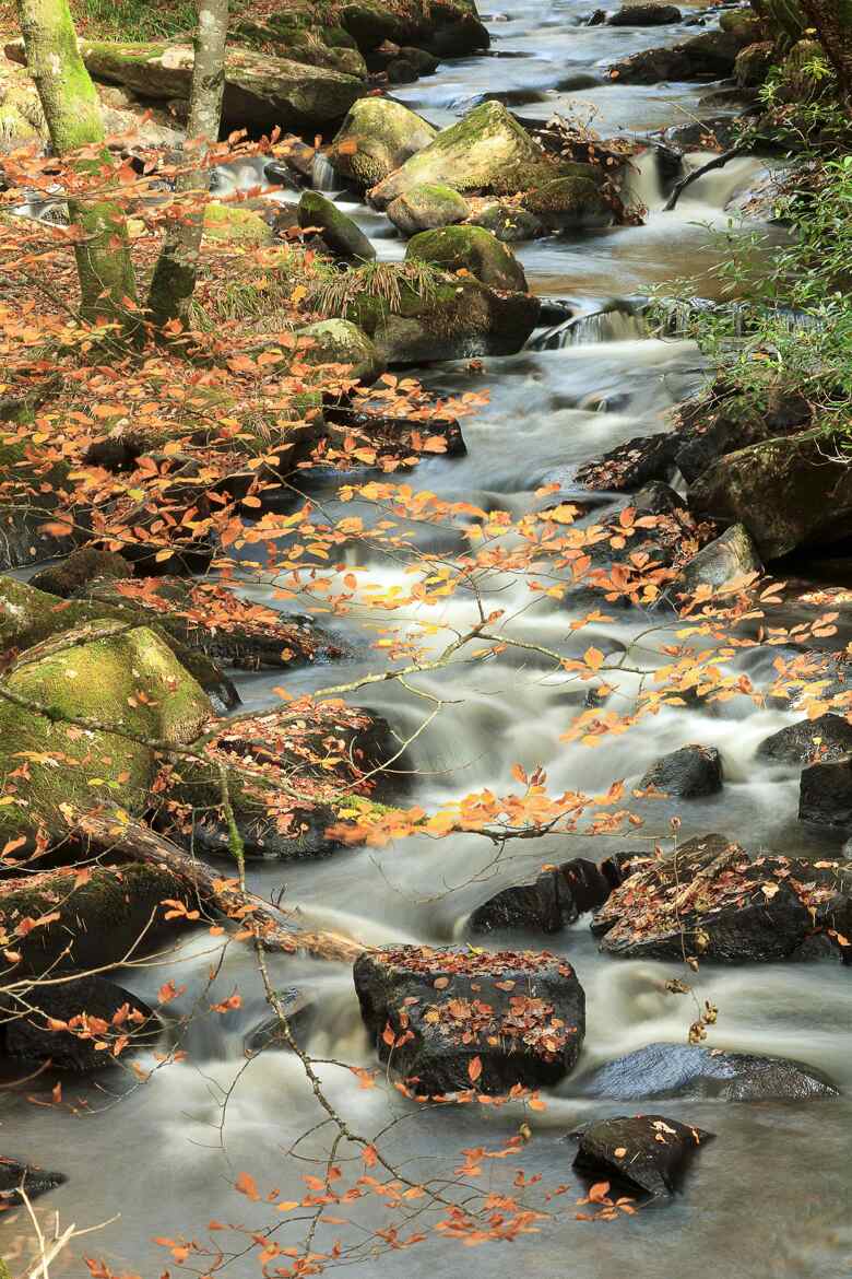 le feu au dessus de l'eau