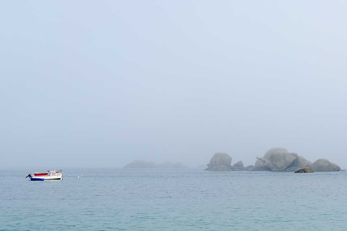 Confiné dans la grande bleue ...