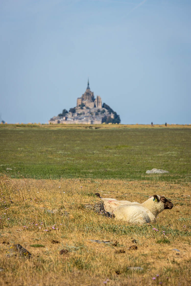 Sieste au pied du mont Saint Michel
