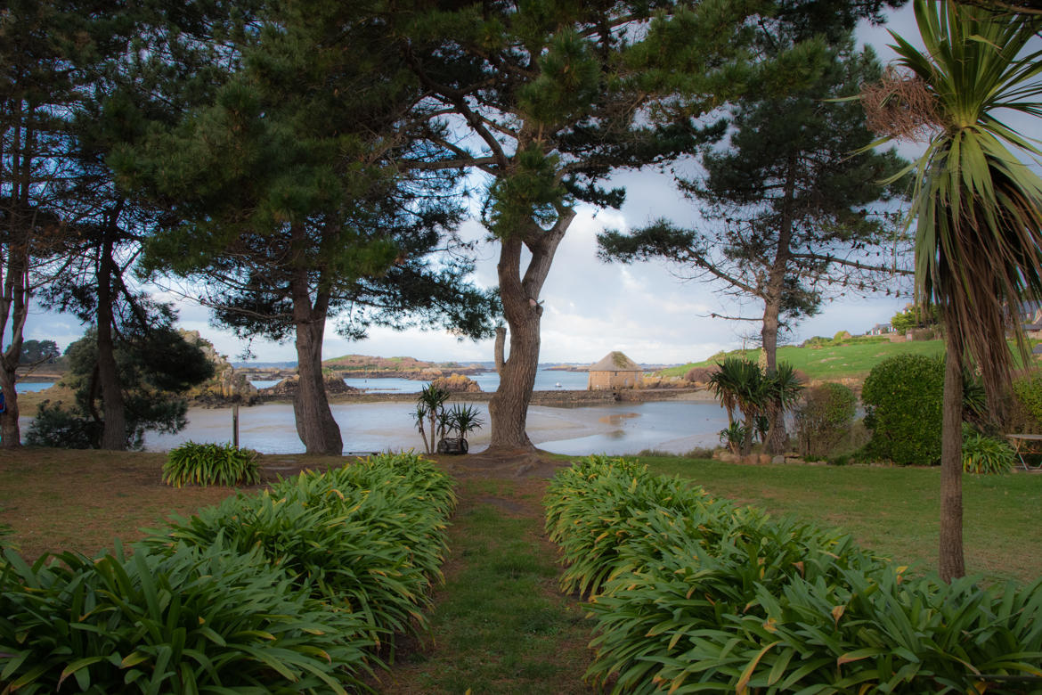 jardin méditerranéen...