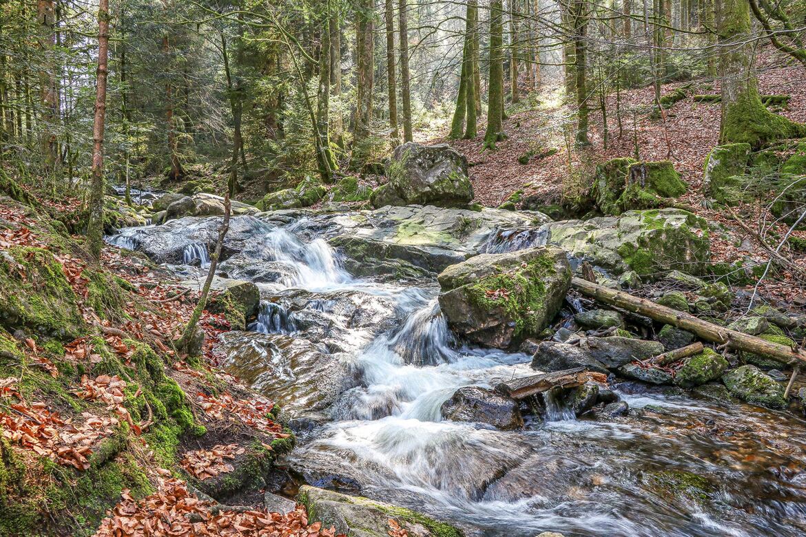 cascade du Tendon