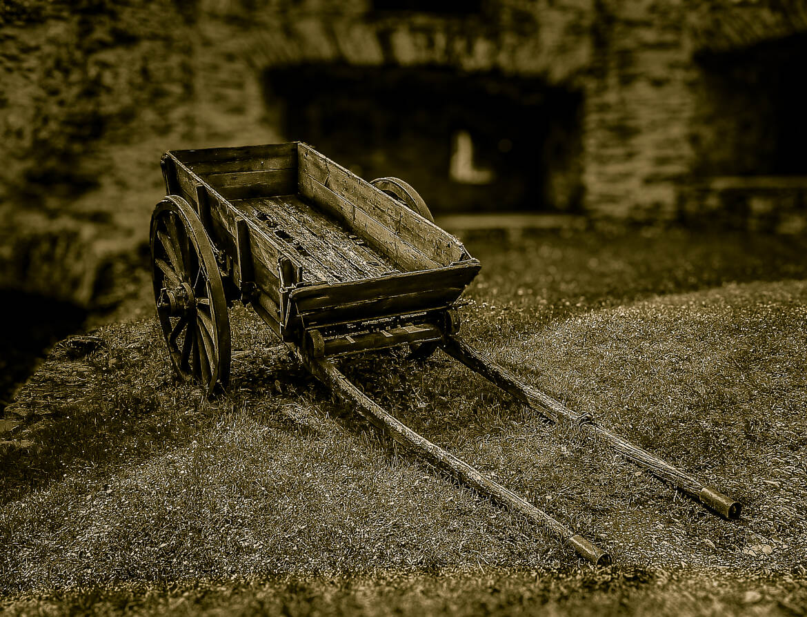 Le vieux chariot
