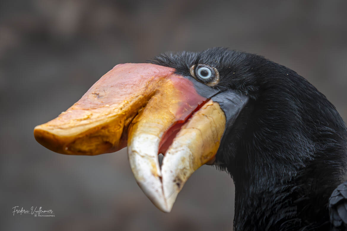 regard de travers