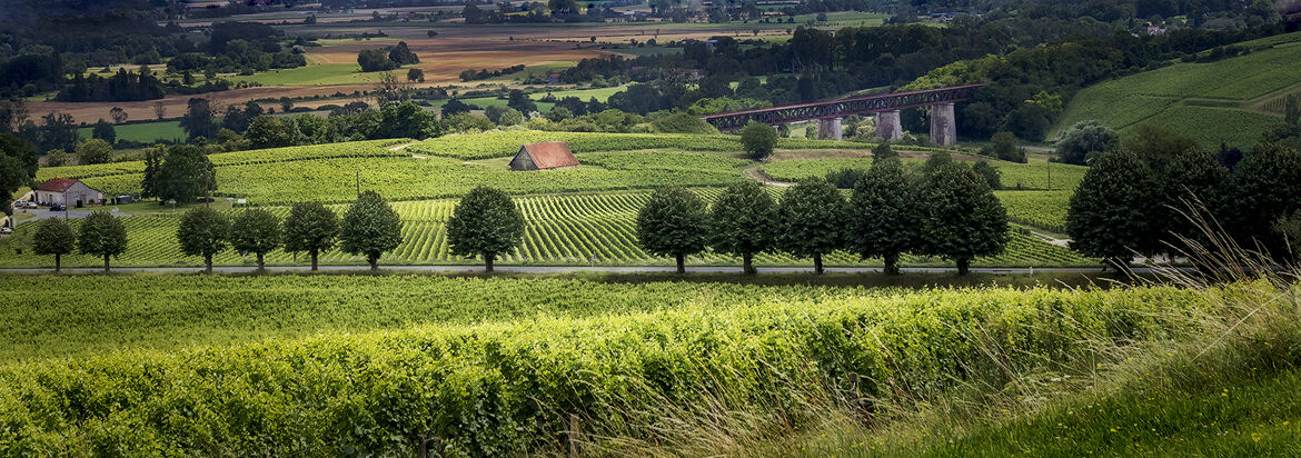 Sancerrois