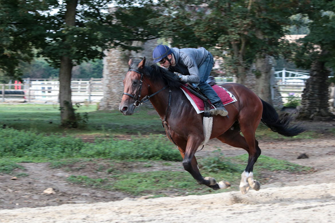 Au Galop