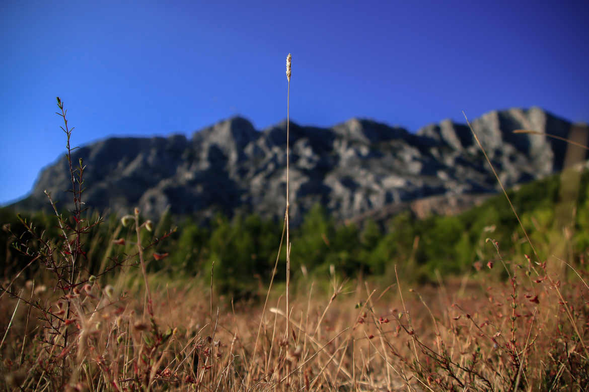 Hautes herbes, petite montagne ?