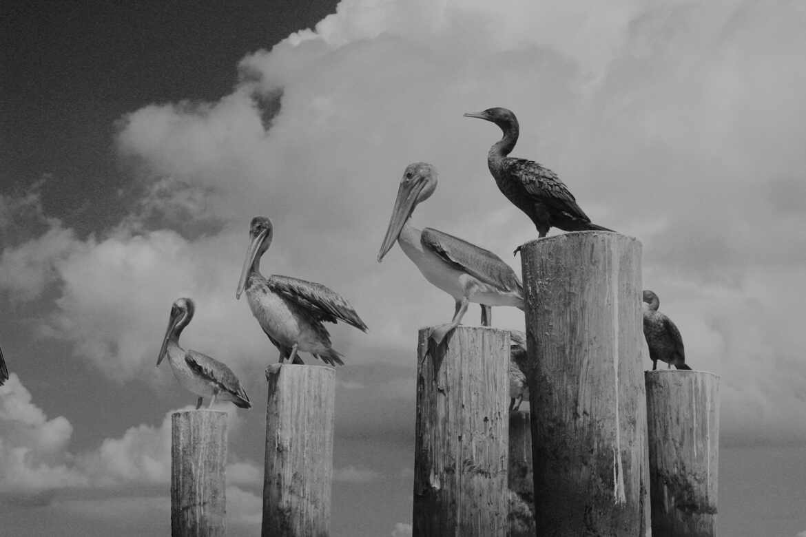 En attente pour décollage