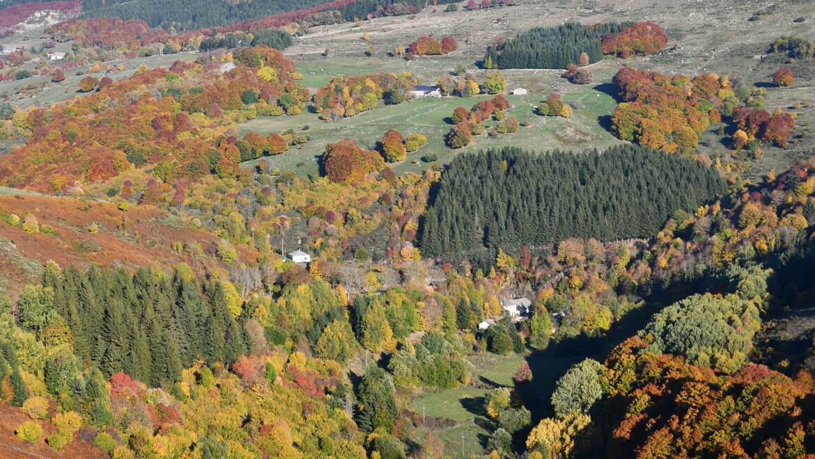 Environs d'Issarlès