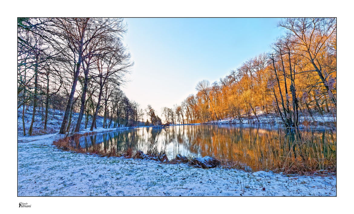 Etang de Merrey.