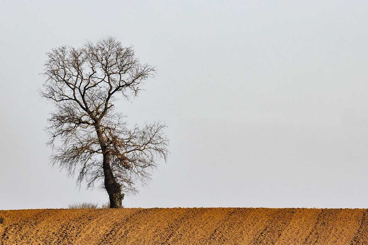 Le temps du labour