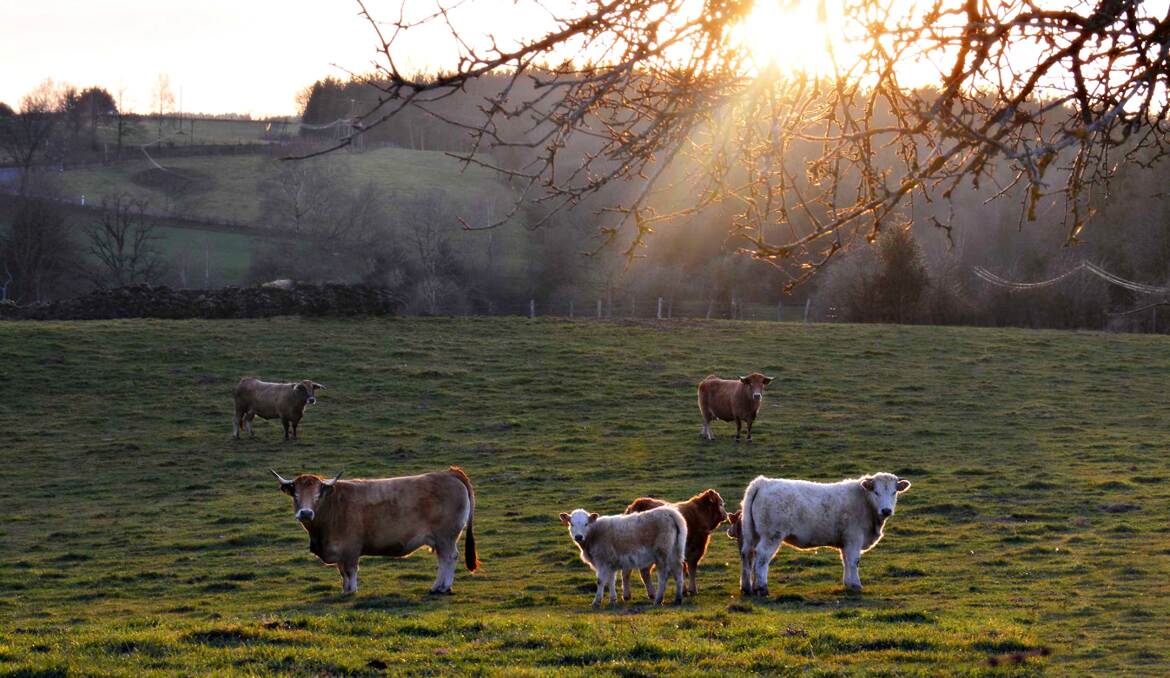 Au petit matin