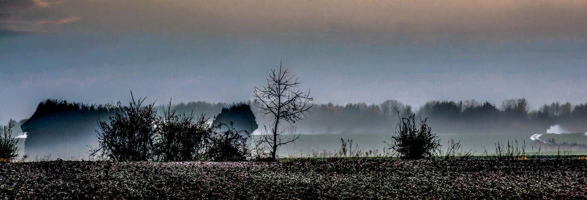 Lever du jour dans la brume