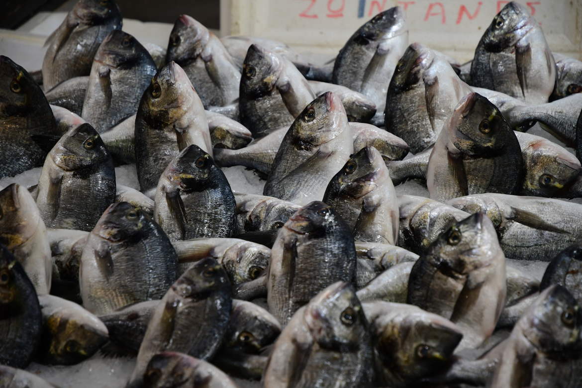 planté de poissons