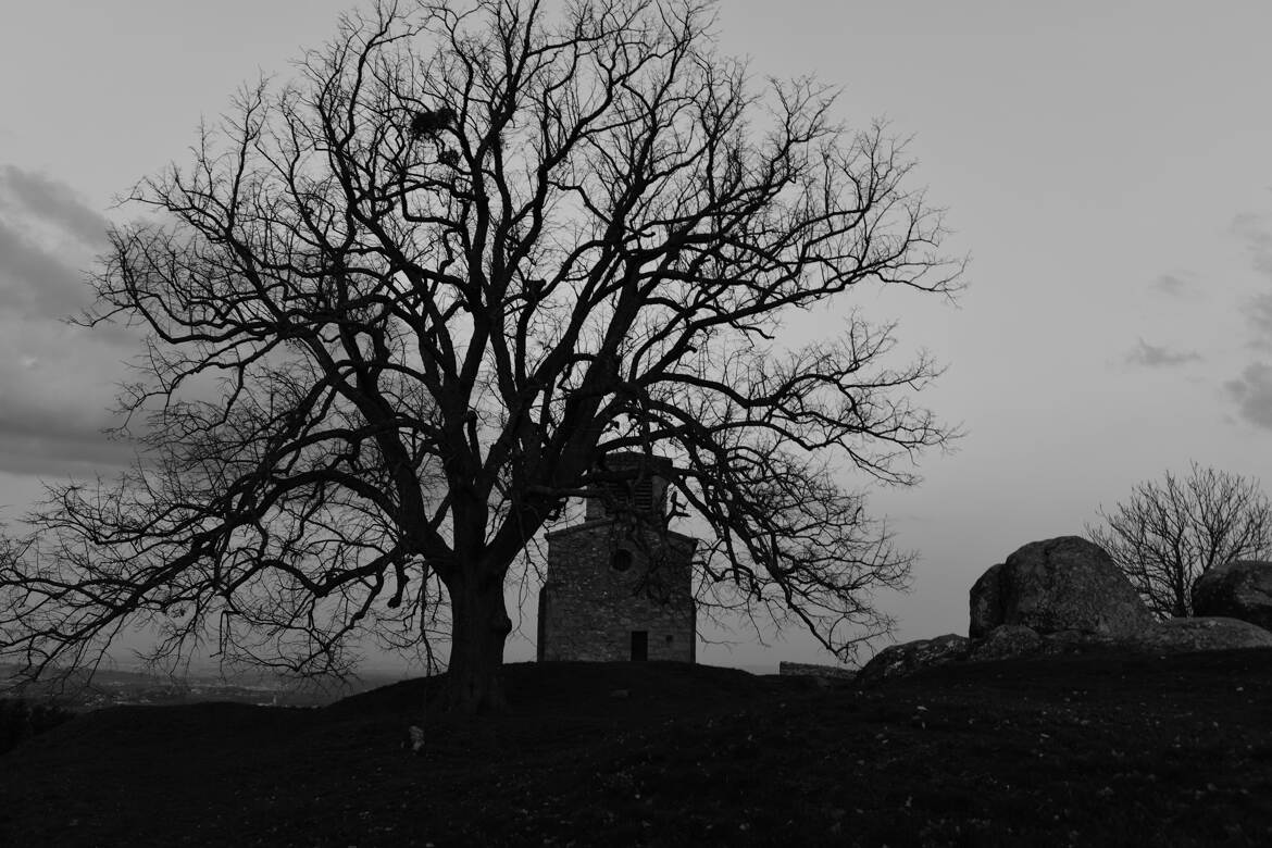 L'arbre et sa chapelle