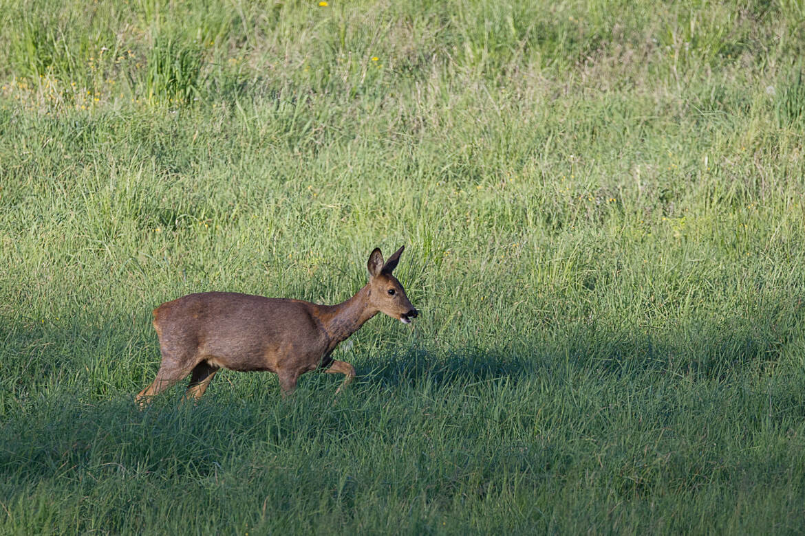 Allons nous dégourdir les jambes