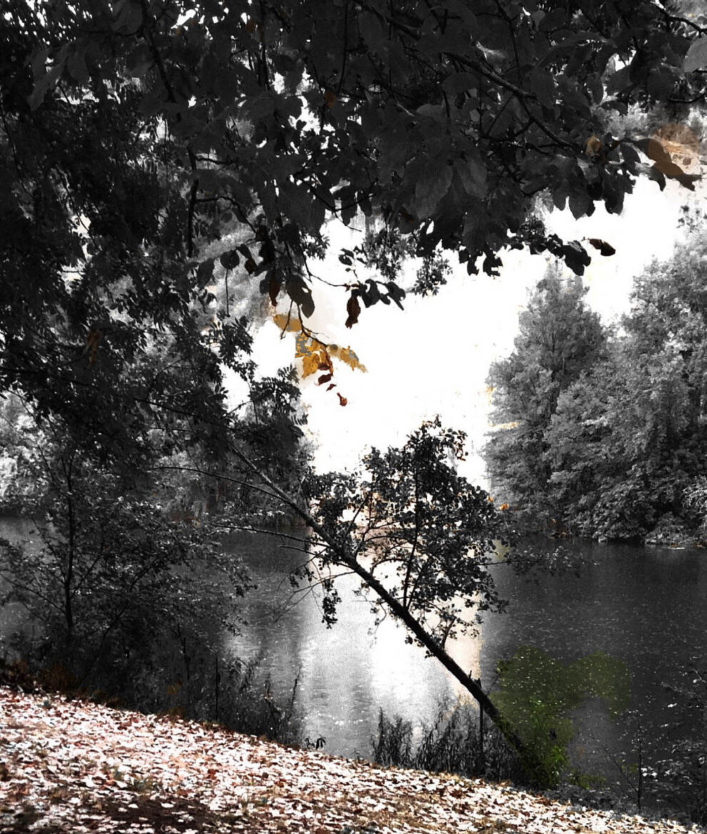 L'arrière des saisons ..