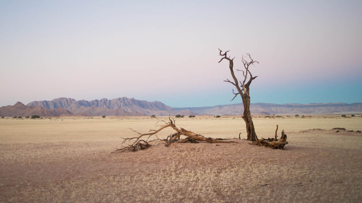 Désert du Namib