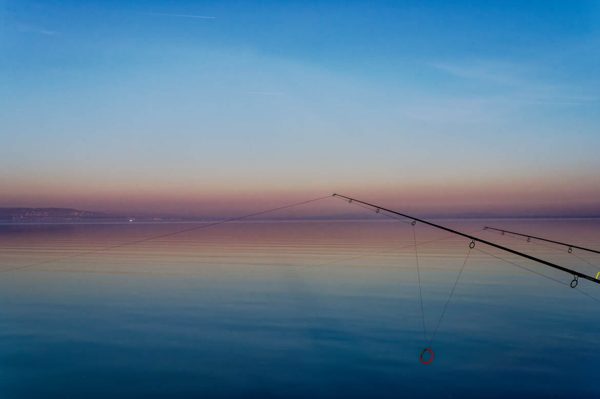 Canne à pêche sur le ac Balaton