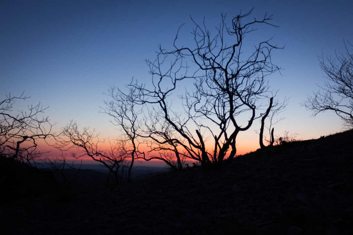 Ombre au crépuscule