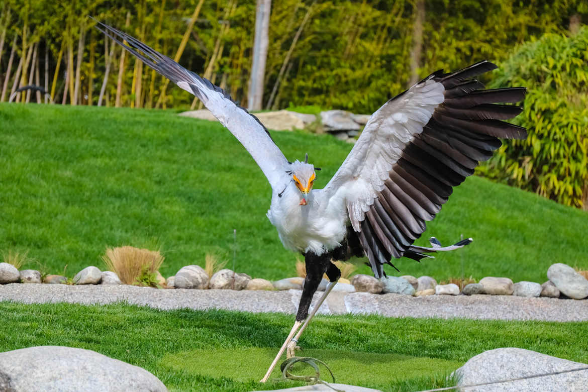 Petite sortie au zoo