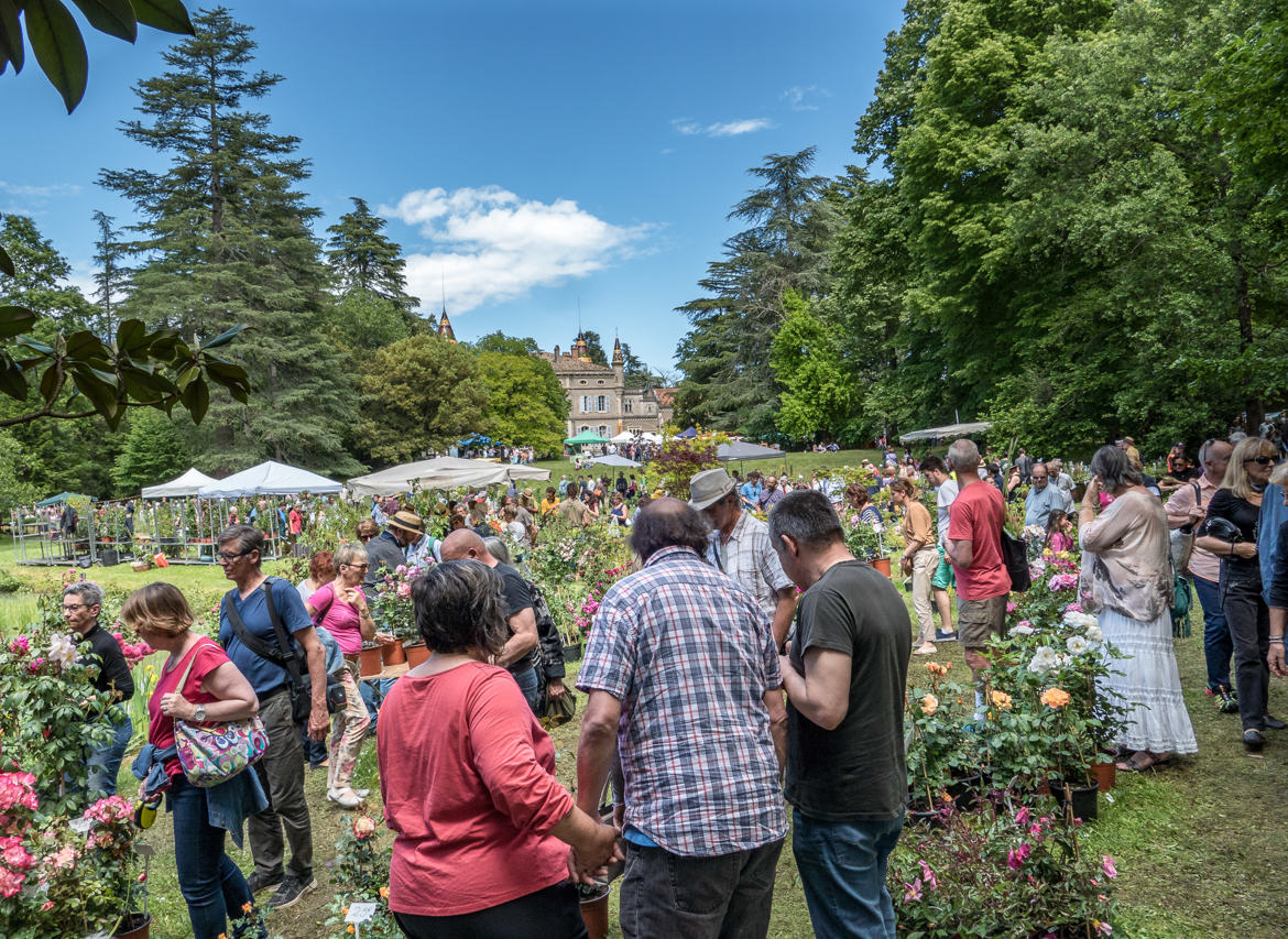 Foire aux plantes