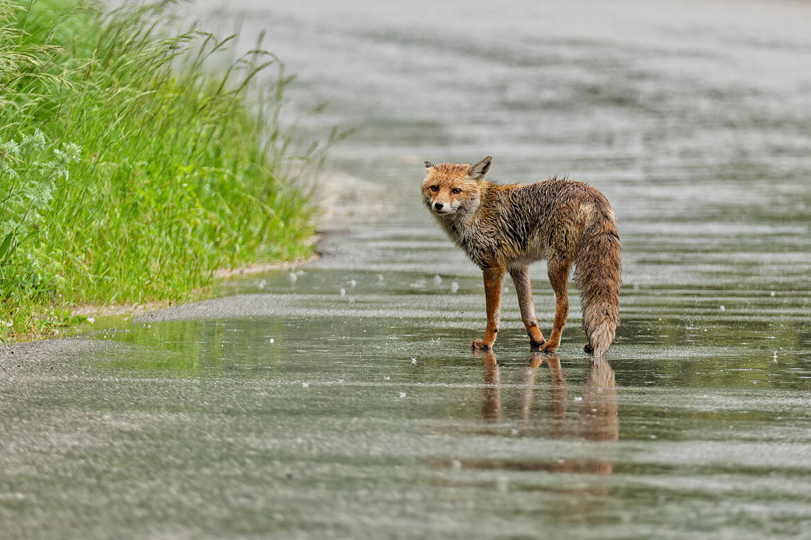 Dernier regard avant de s'en aller...
