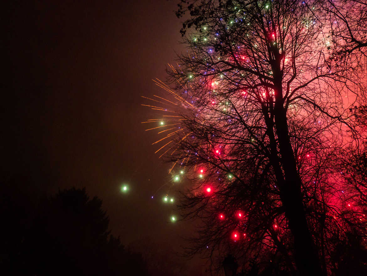 arbre d'artifice