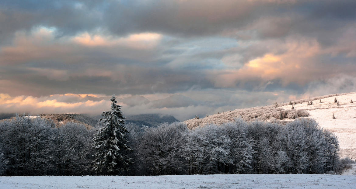 Première neige