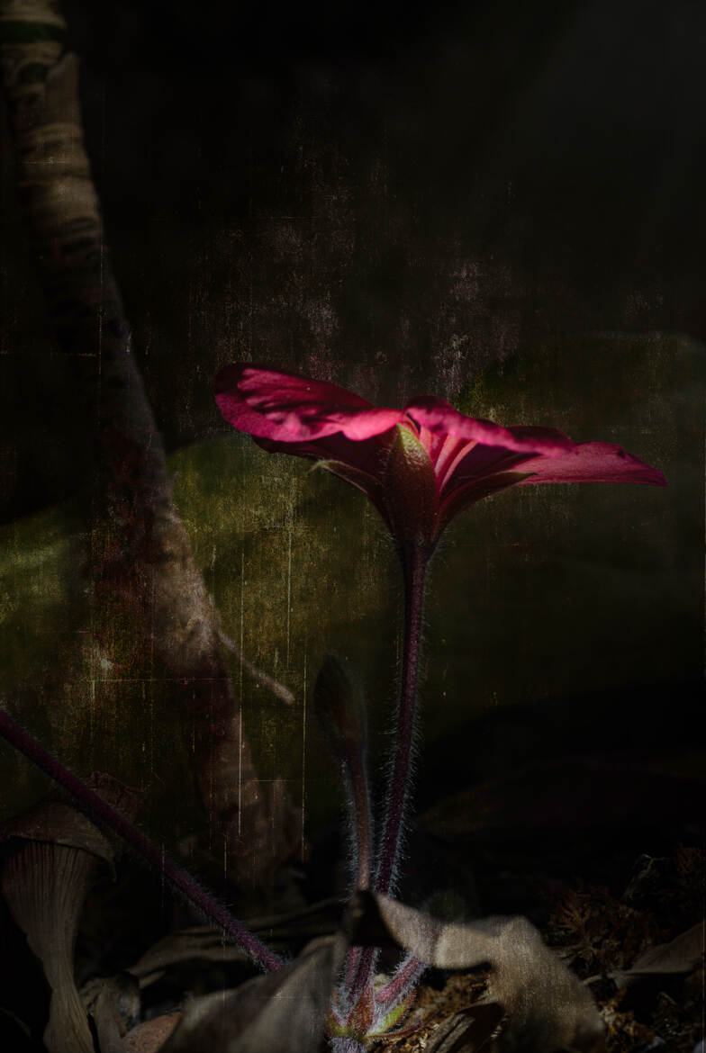 Seule à la nuit tombée !!