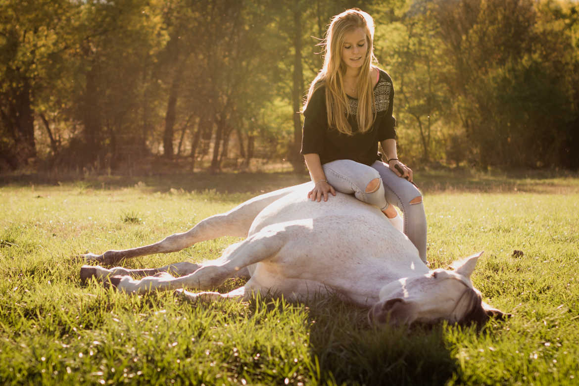 Poney d'automne