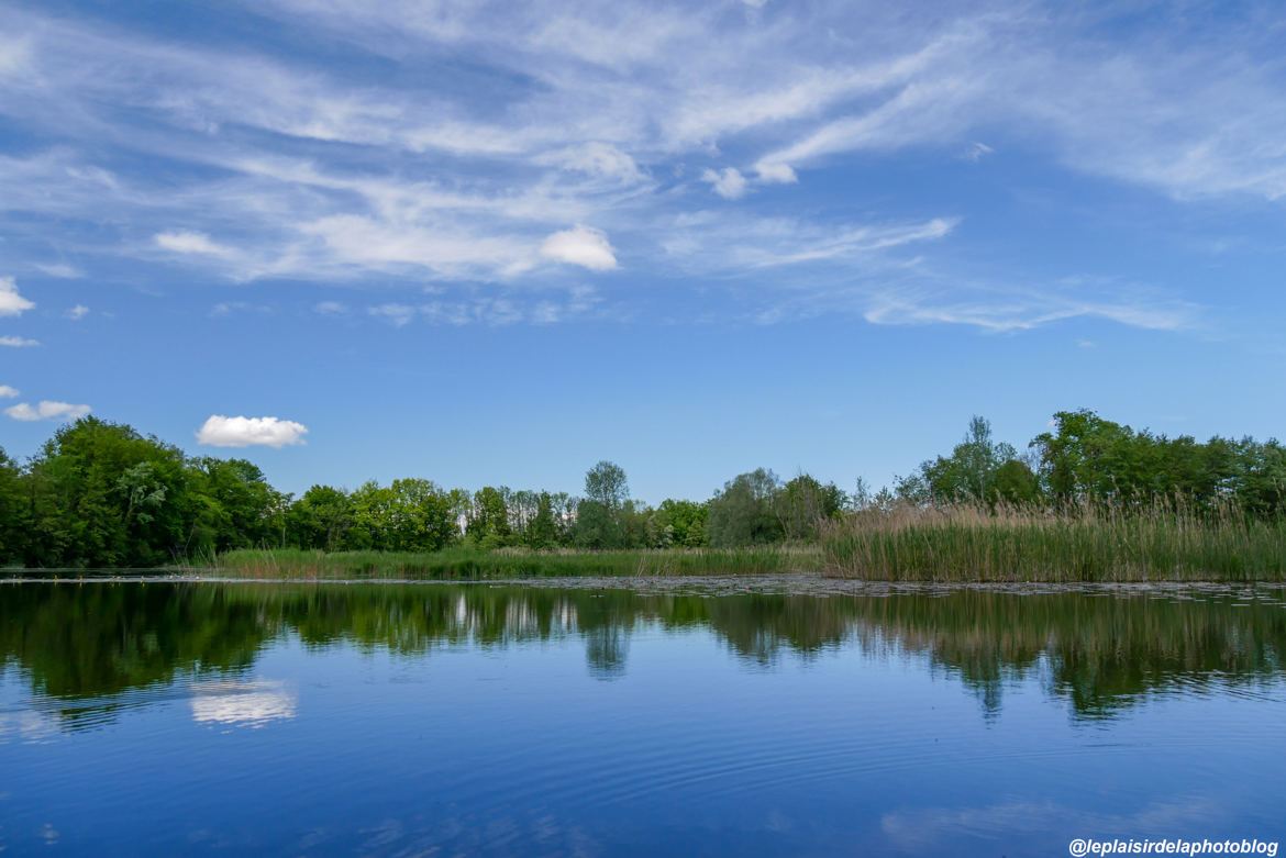 Etang paisible