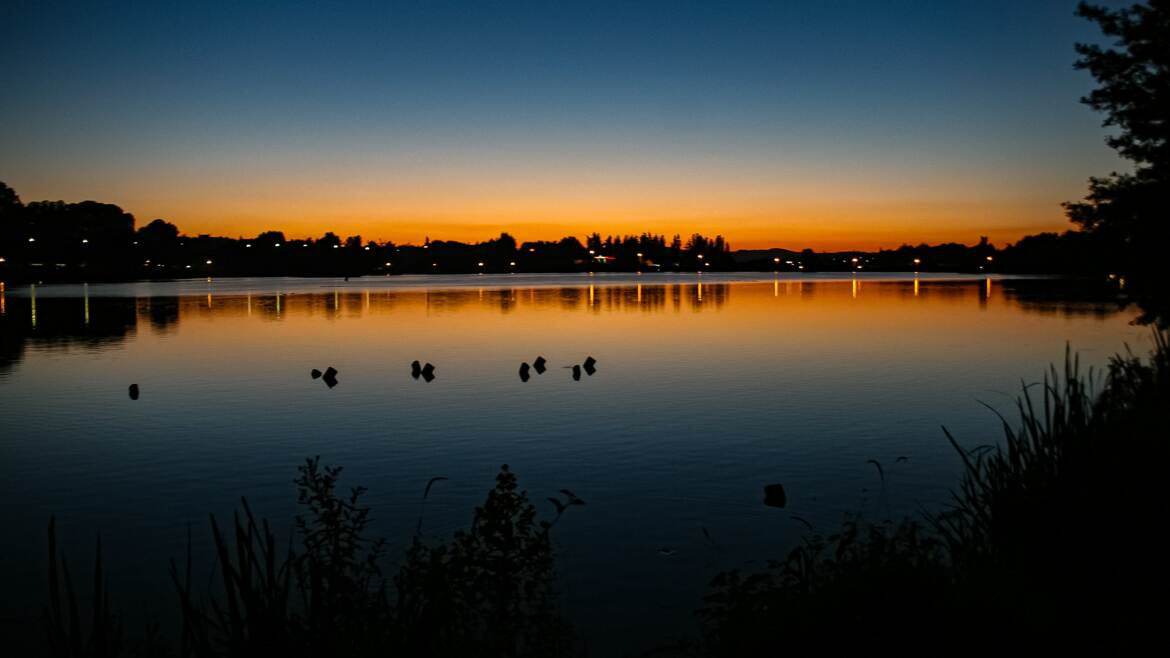 En attendant le feu d'artifice