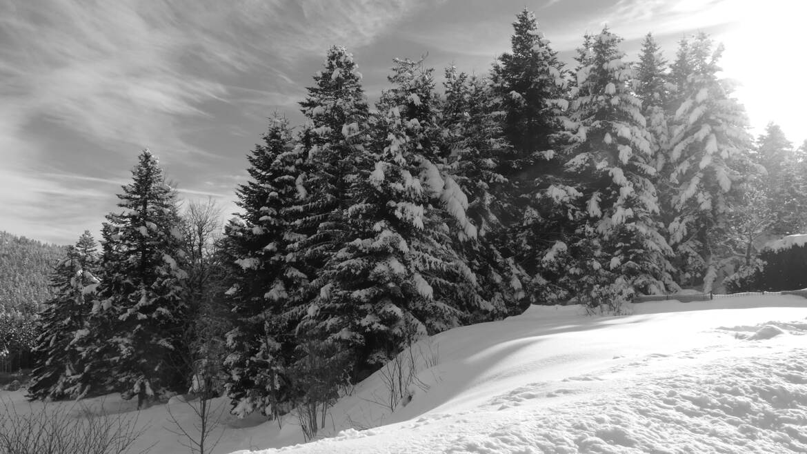 Après la chute de neige