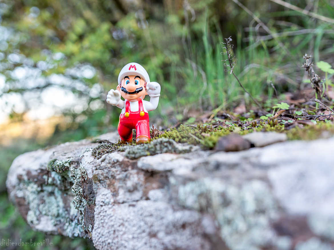 Mario en nature