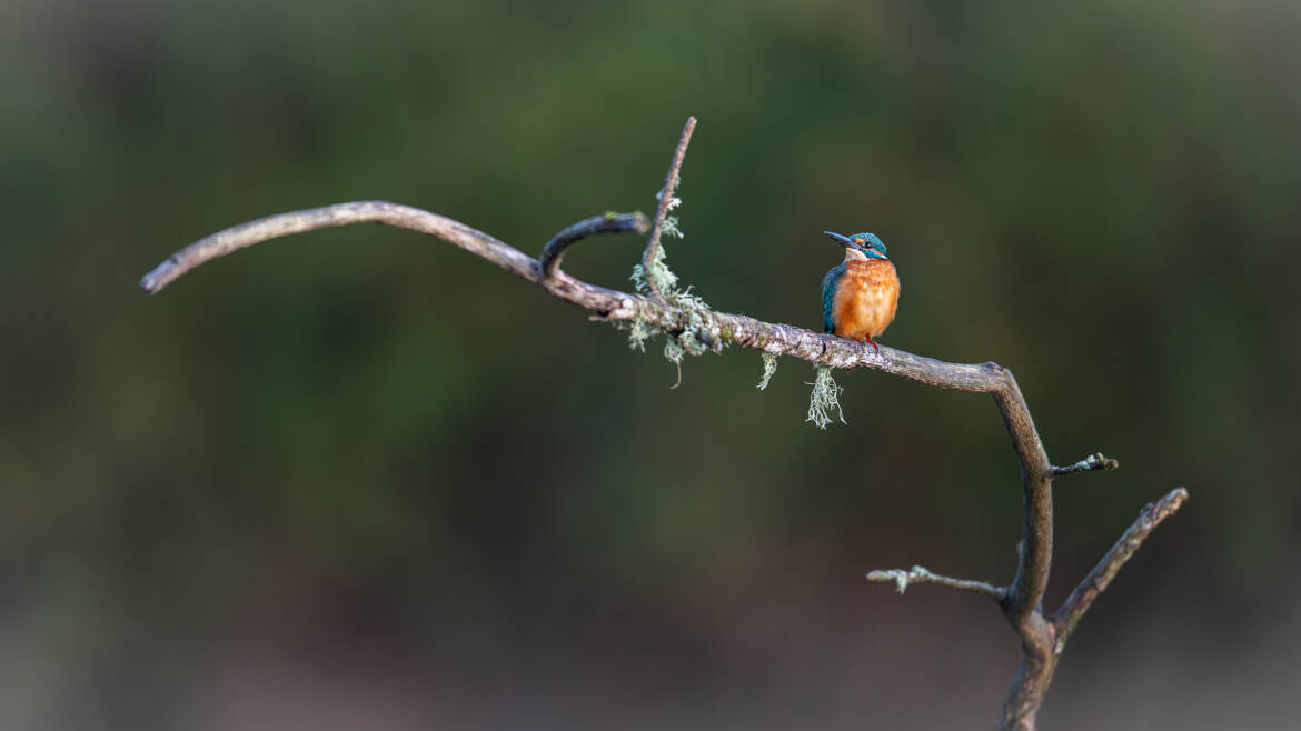 Une touche de couleurs