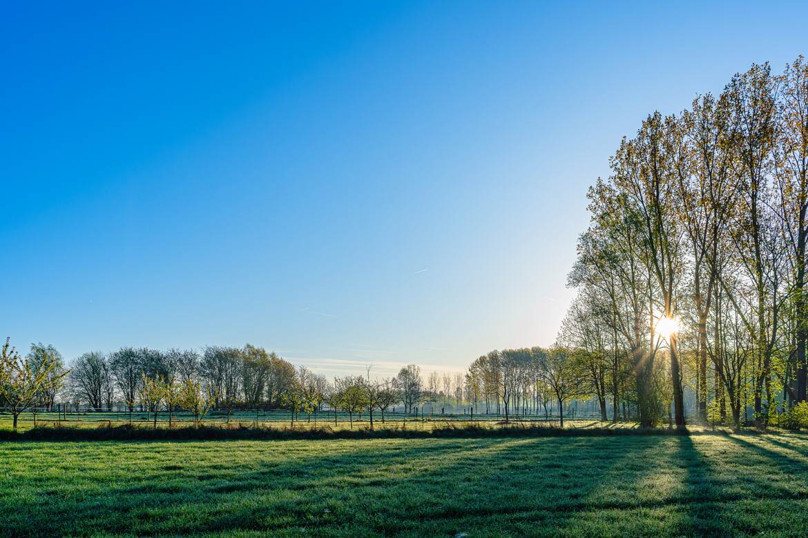 Levé de soleil.