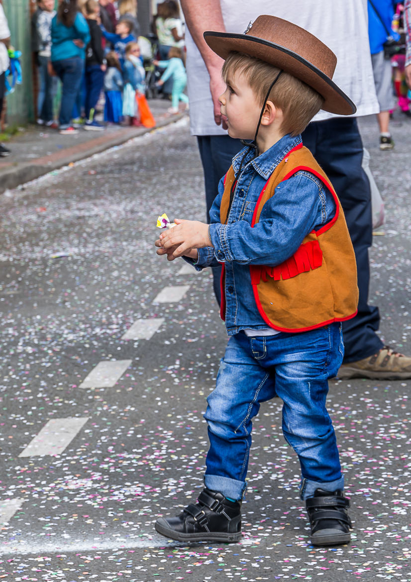 Vous n'avez pas vu mon cheval ?