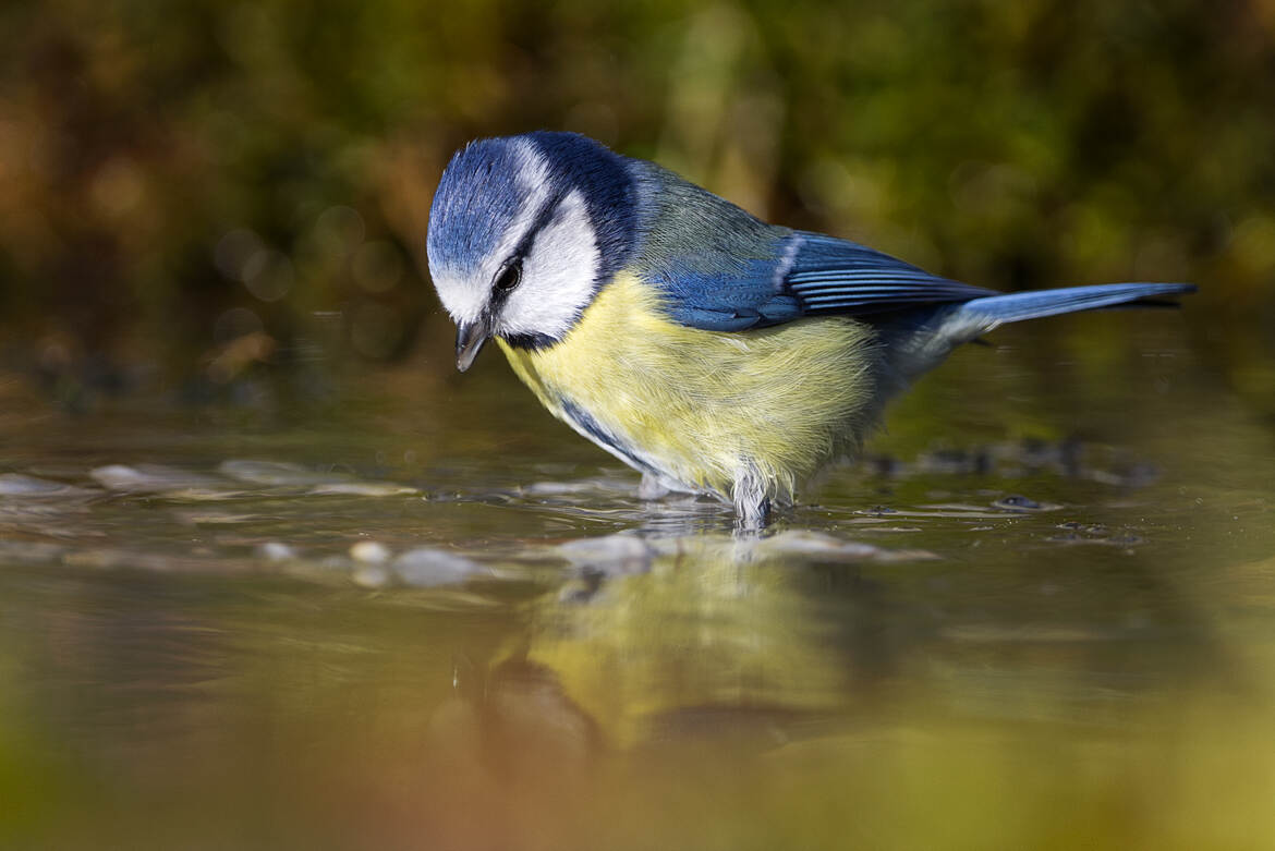 Quel plaisir de se retrouver