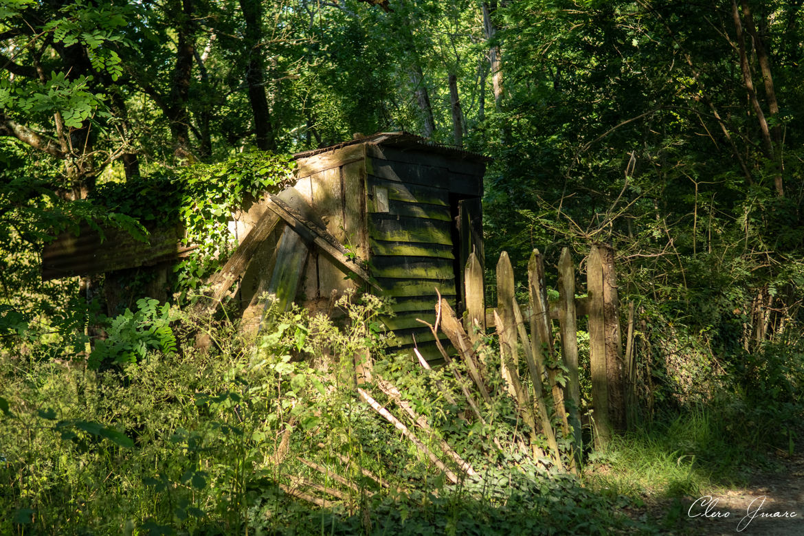 La cabane au fond du jardin