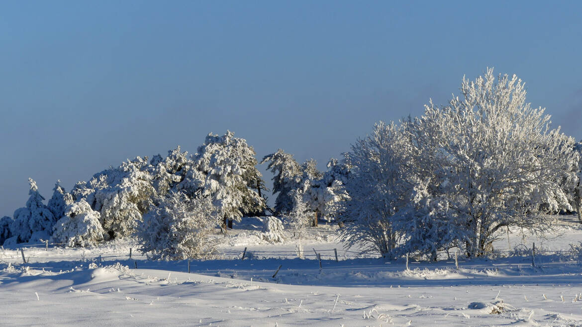 Les joies de l'hiver