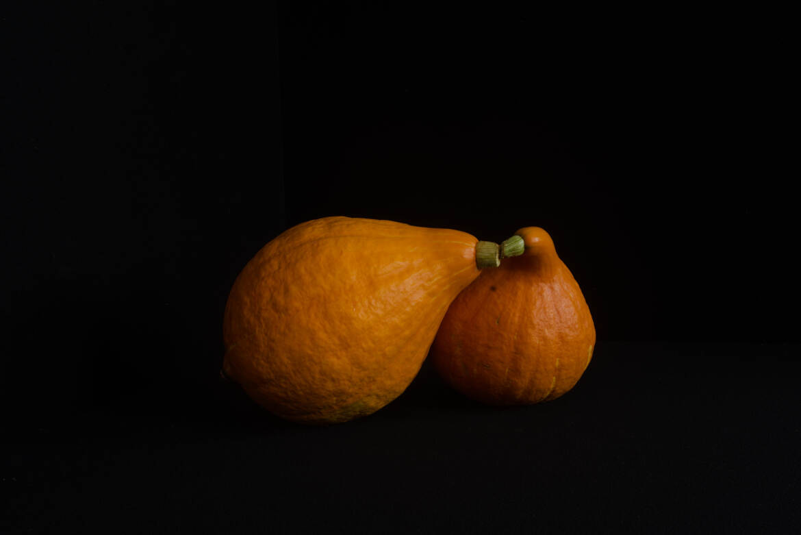 Un amour de courge