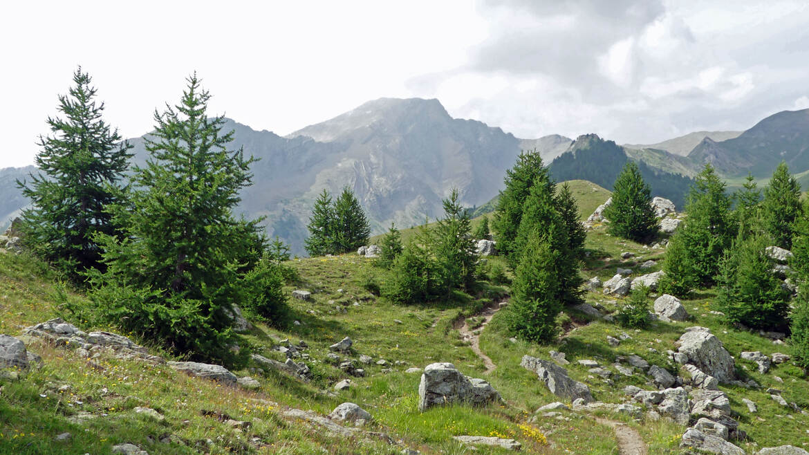 Col de Vars