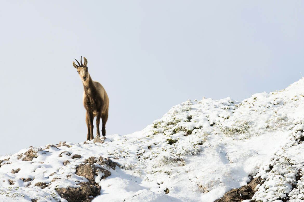 Rencontre matinale