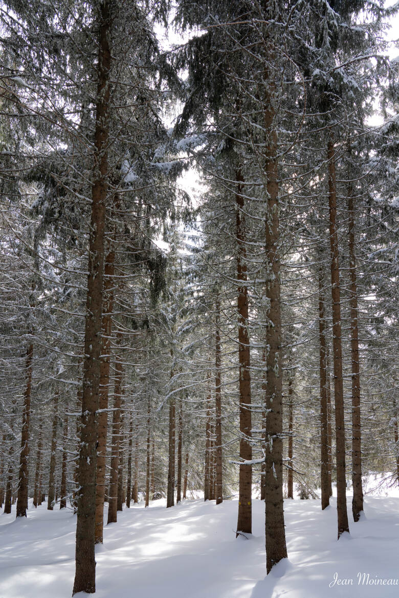 Après le mauvais temps II