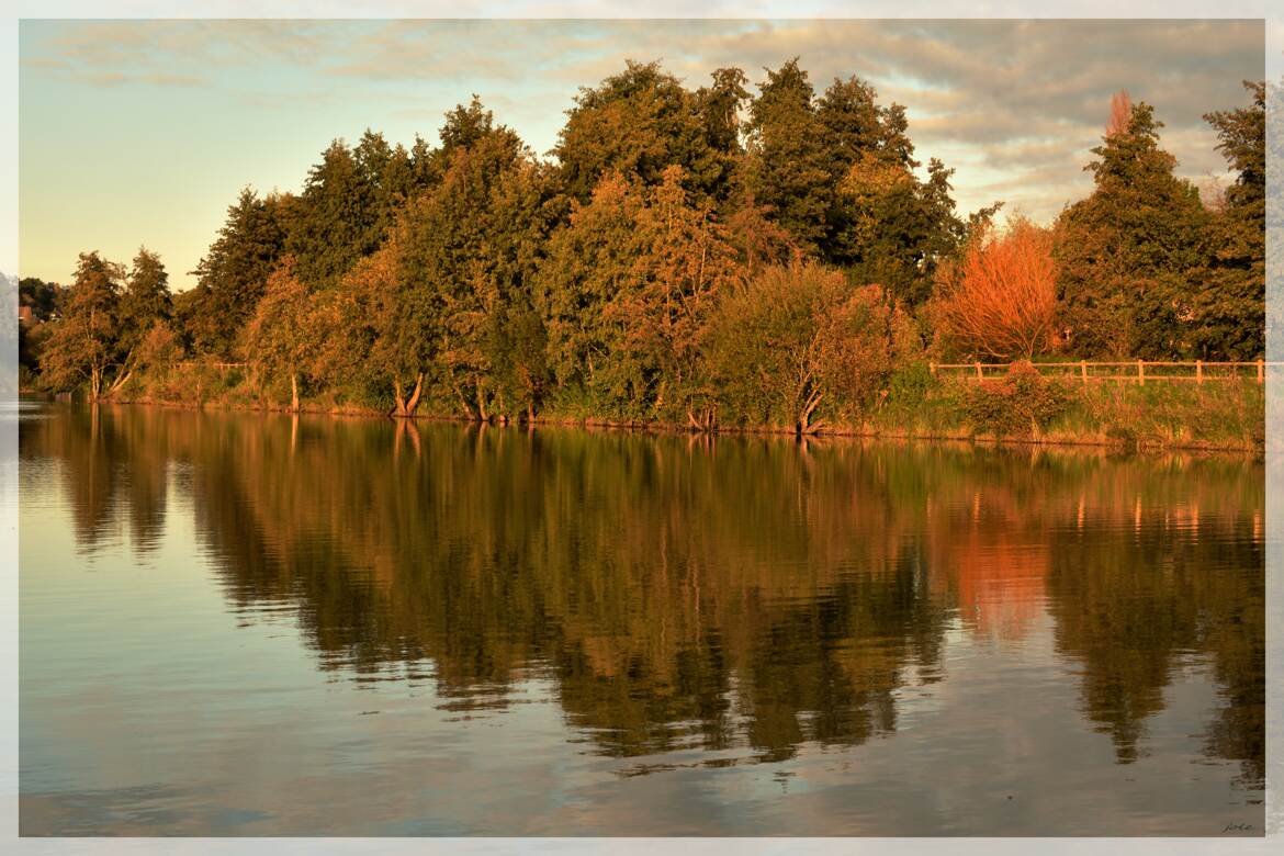 Reflets d'automne