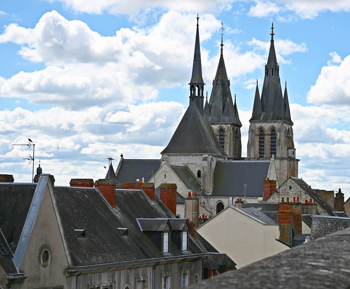 Les toits de Blois couleur