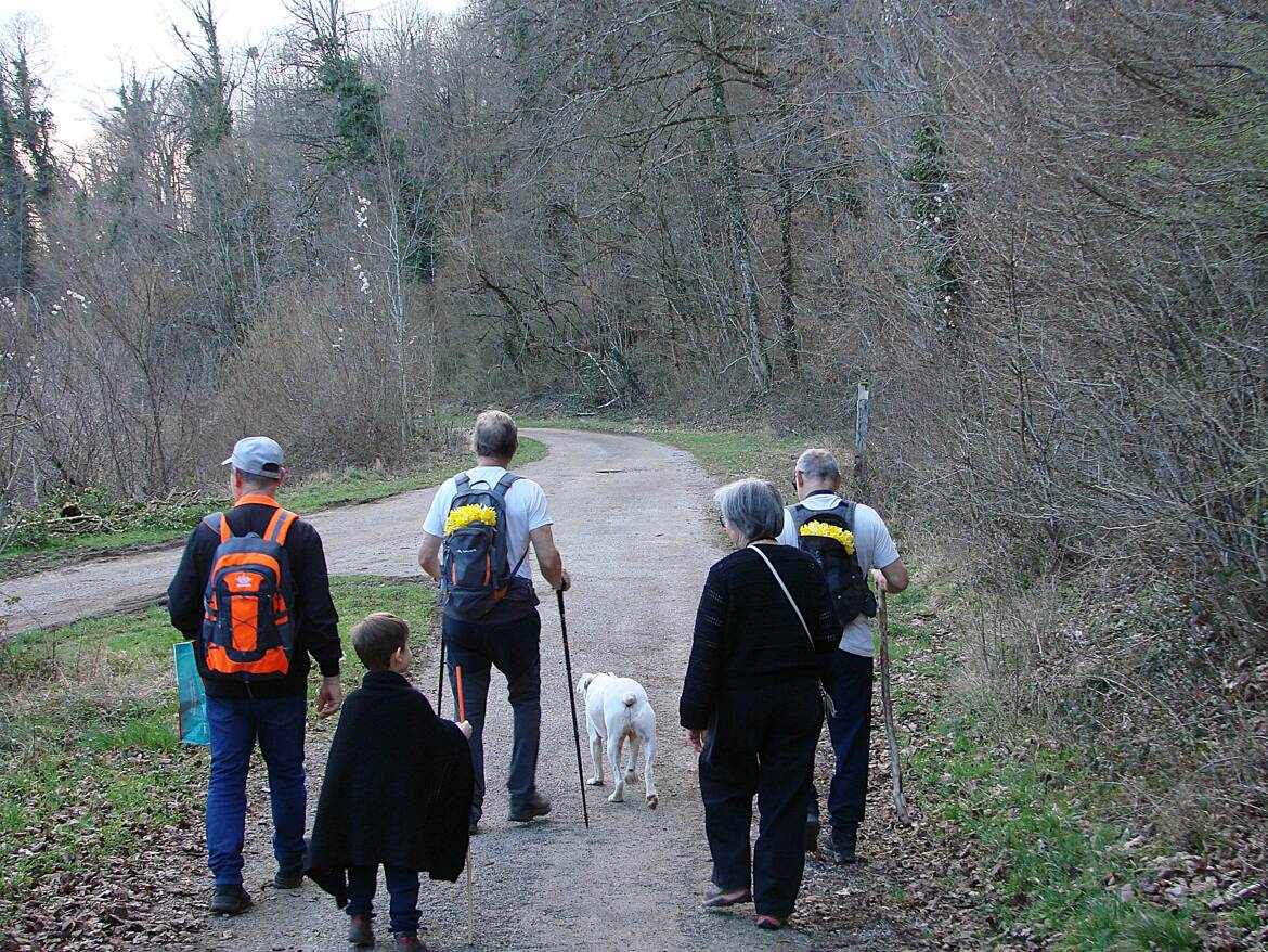 Les pilleurs de Jonquilles