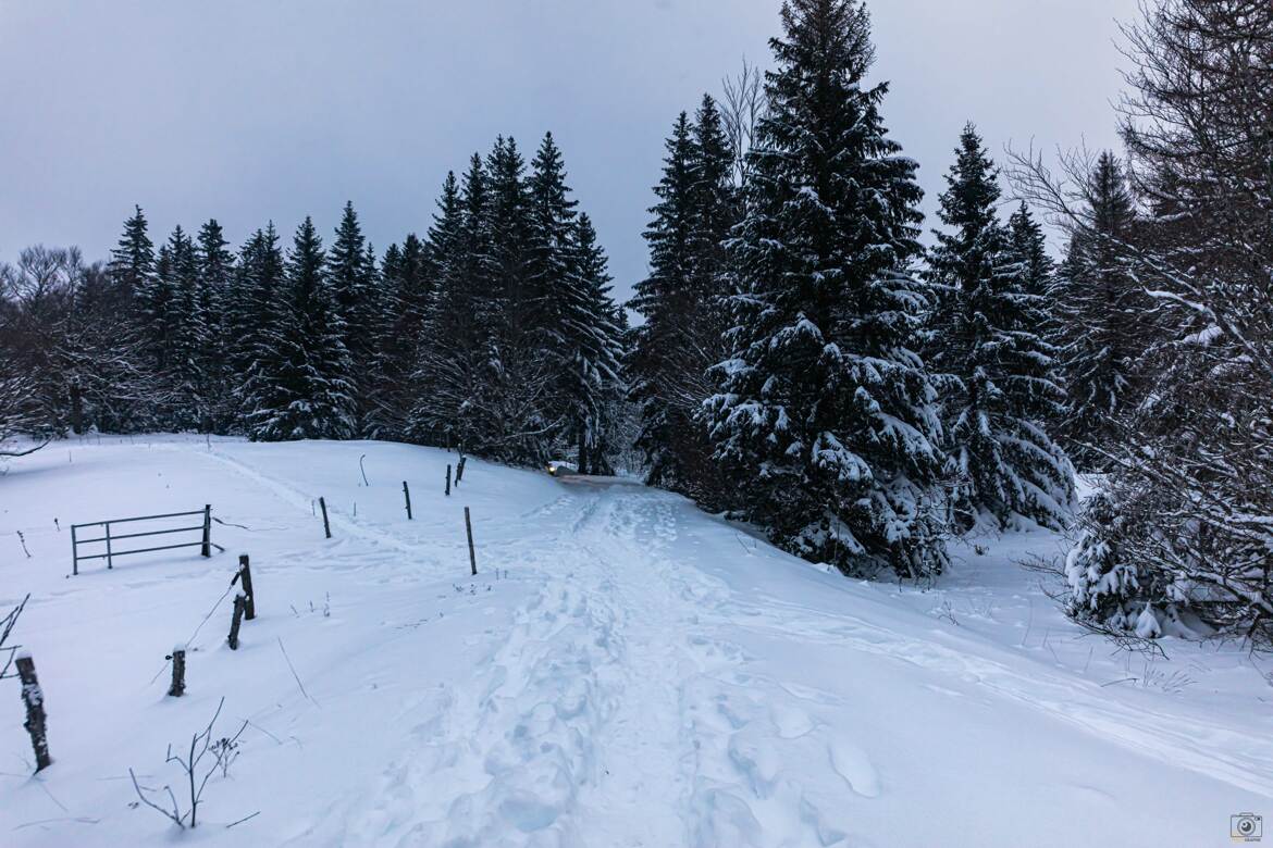 Ballade hivernale